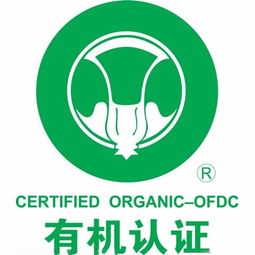 精品推薦 石家莊快易企業(yè)管理咨詢中心 – 專業(yè)高效的企業(yè)管理咨詢伙伴